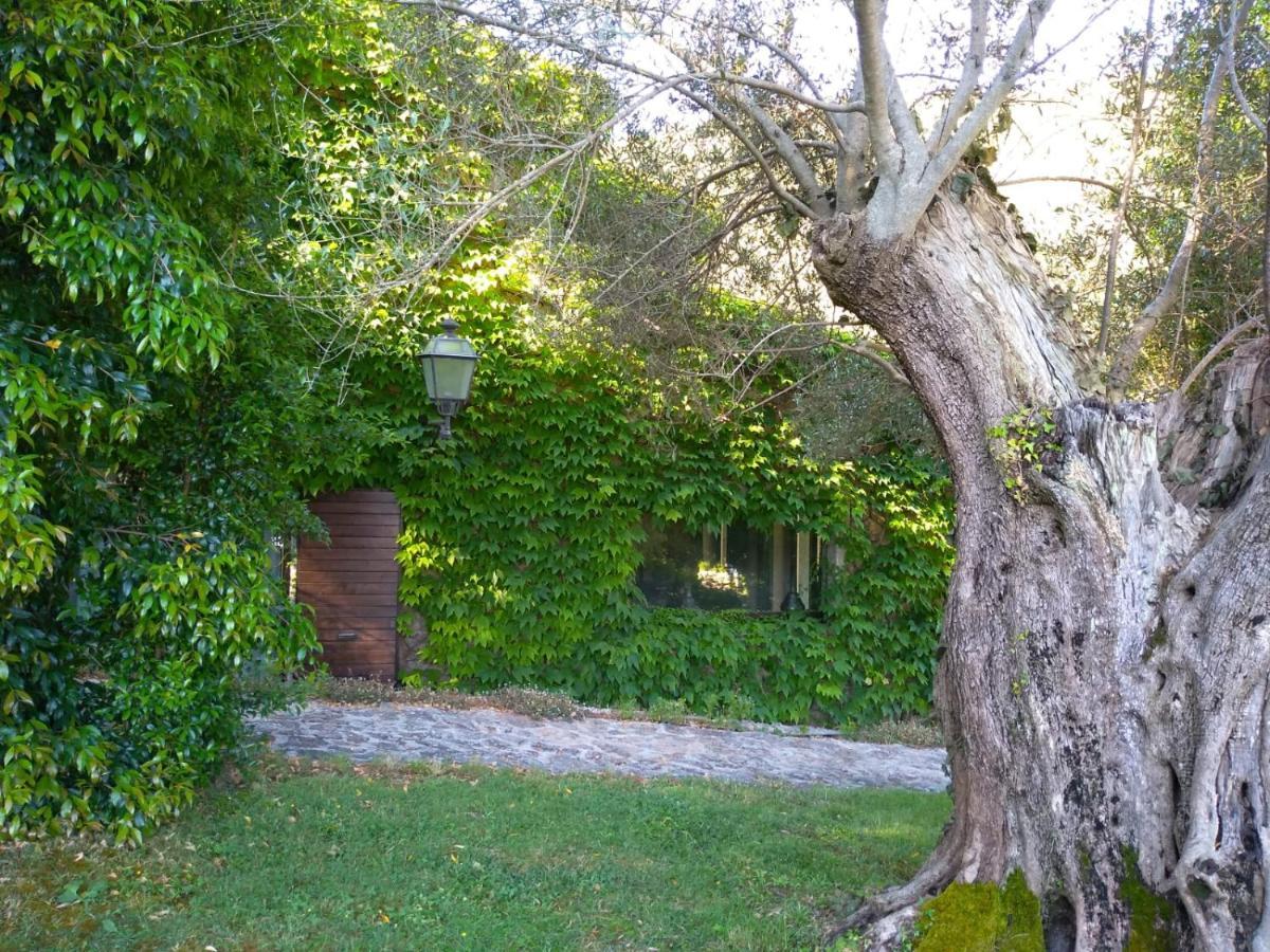 L'Agnata Di De Andre Boutique Hotel Tempio Pausania Eksteriør bilde